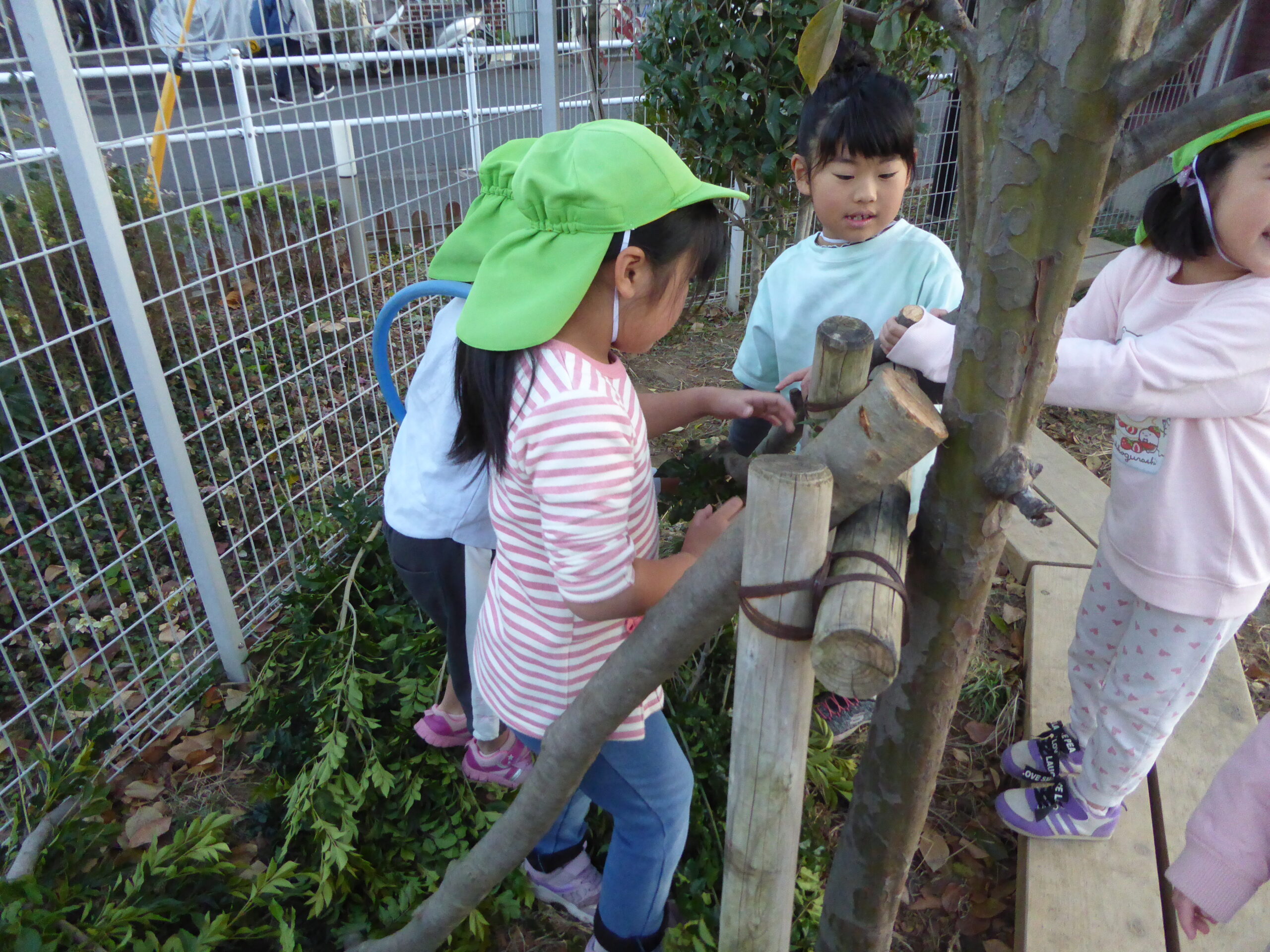 バッタ広場の秘密基地