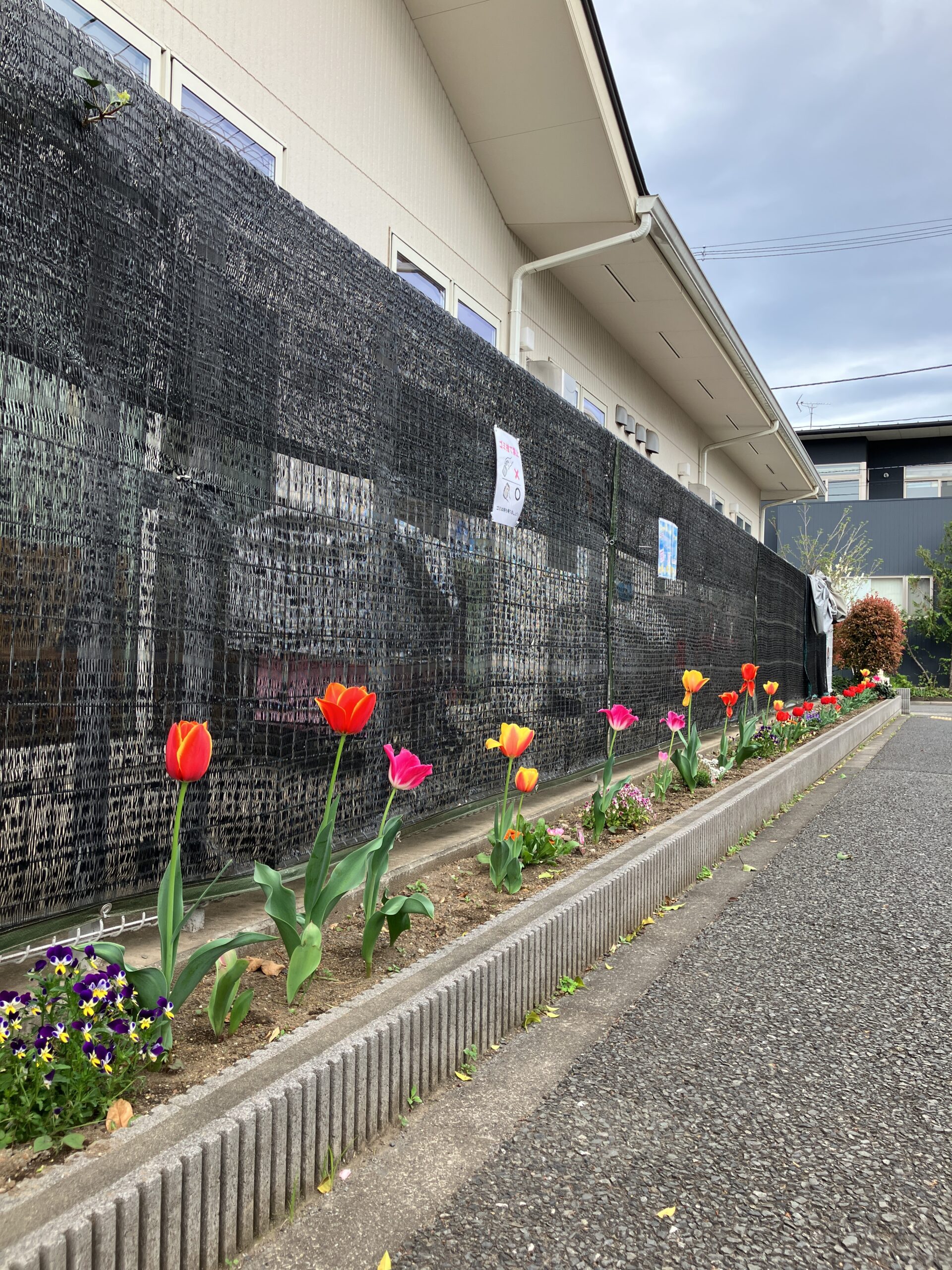 新年度スタート